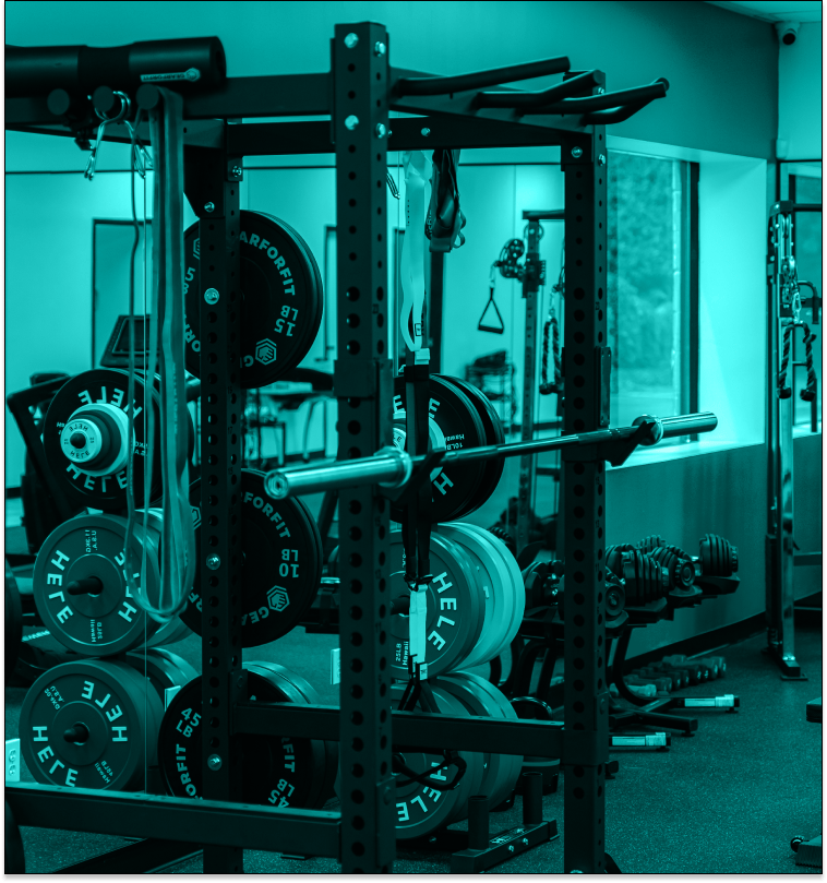 Elysian Wellness Gym