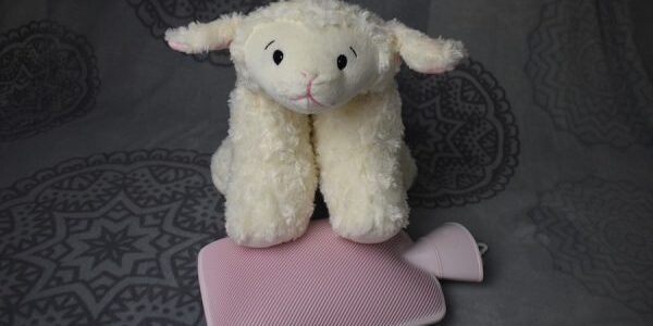 Stuffed animal lamb sitting on a hot water bottle
